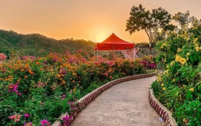 Enjoy Natural Environment at Ecotourism Sectors Near the Statue of Unity