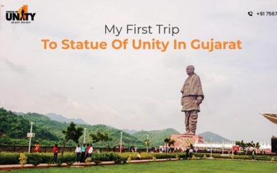 My First Trip To Statue Of Unity In Gujarat