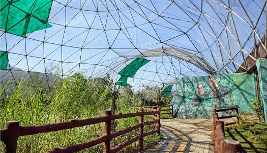 Geodesic Aviary Domes