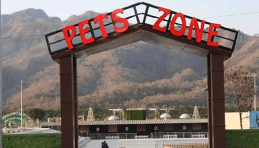 Pet Zone