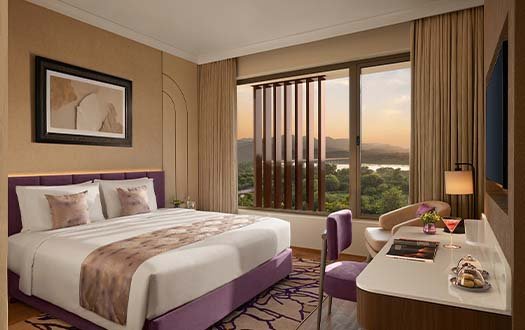 Deluxe Room with King Bed